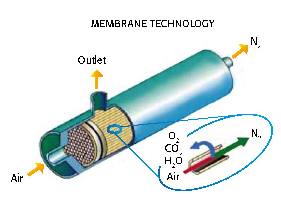 Membrane